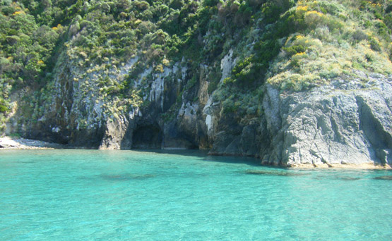 isola-di-palmarola-grotte-affitto-gommoni-circeo