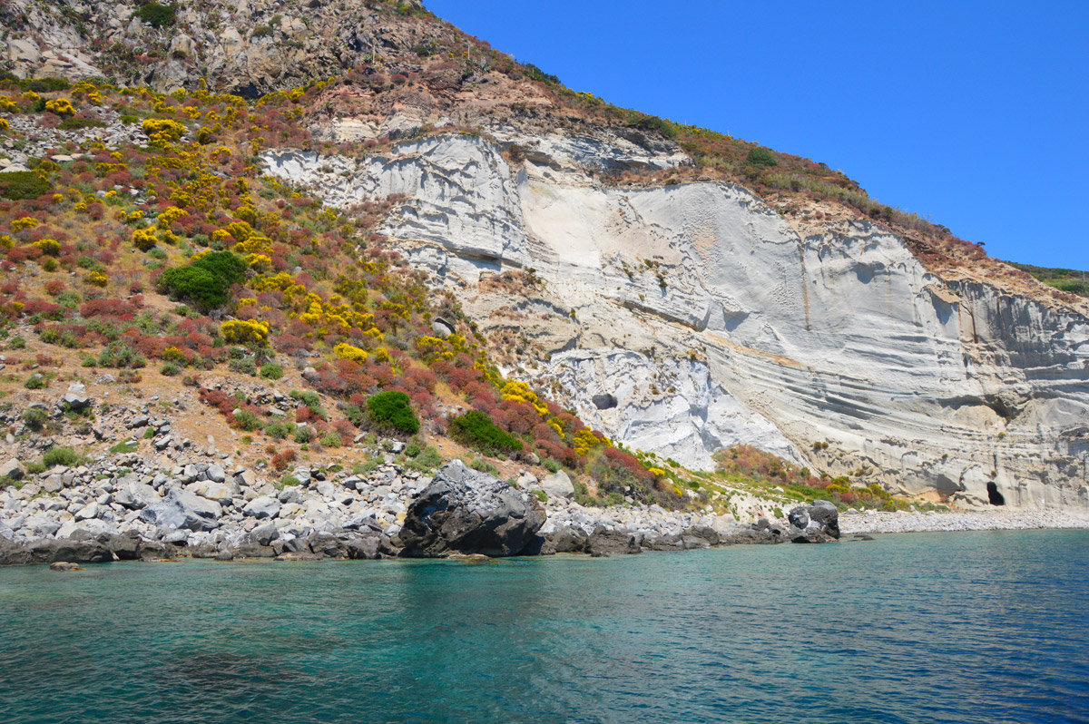 scogliera-fiorita-palmarola-noleggio-gommone-circeo-ponza-isole-pontine